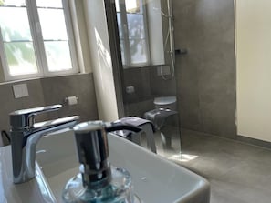 Chuveiro, secador de cabelo, toalhas de banho, sabonete