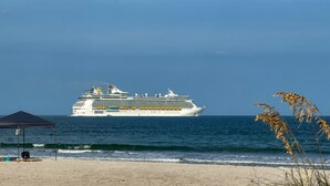 Ein großes Kreuzfahrtschiff liegt an einem Strand bei strahlendem Himmel.