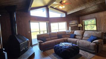 Télévision, cheminée, chaîne hi-fi