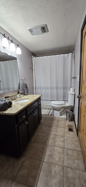 Hair dryer, towels, shampoo, toilet paper