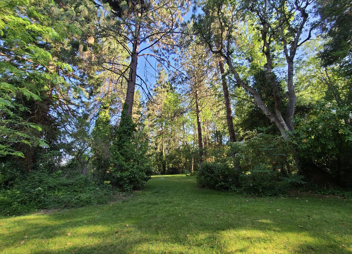 Wooded, Tranquil, Retreat just minutes to town with a country setting.