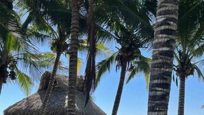 Casa com telhado de palha, rede e cadeira de rede, em cenário tropical com palmeiras e vista para o oceano.