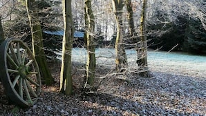 A forested area with bare trees and a large wooden wheel.