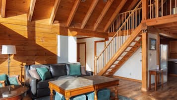 Smart TV, chimenea, libros y biblioteca musical