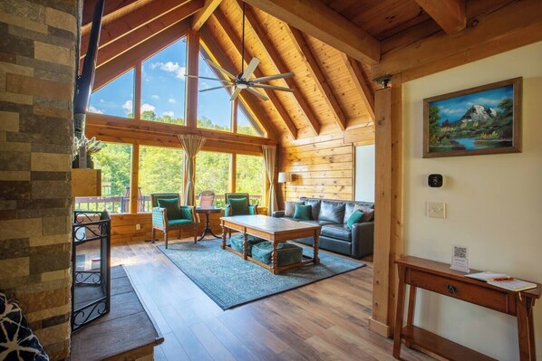 Smart TV, chimenea, libros y biblioteca musical