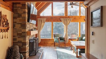 Smart TV, fireplace, books, music library