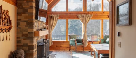 Smart TV, fireplace, books, music library