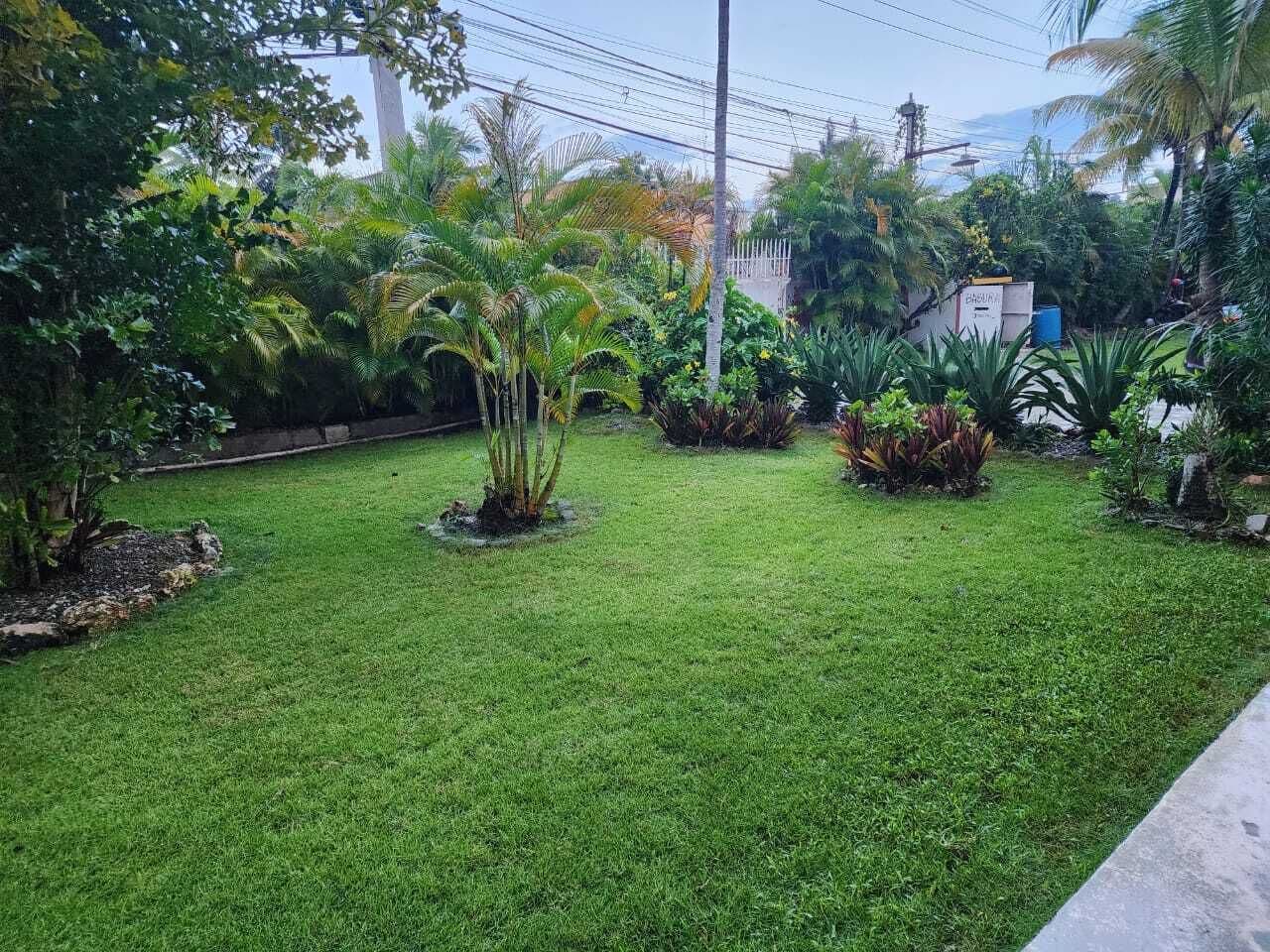 A well-maintained garden with various plants and a neatly trimmed lawn.