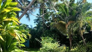 A stone pathway leading through a lush garden with various tropical plants and trees. - BOCA DEL PARAISO (Boca Chica)