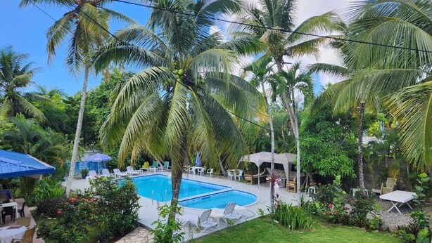 A pool surrounded by palm trees and a well-maintained garden. - BOCA DEL PARAISO (Boca Chica)