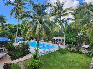 Piscina rodeada por palmeiras e um jardim bem cuidado.