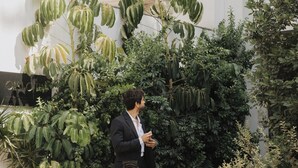 Un homme se tient près d’un immeuble doté d’un balcon, entouré d’une végétation luxuriante et tenant une valise.