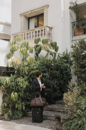 Exterior - Casa Ofelia (Mexico City)