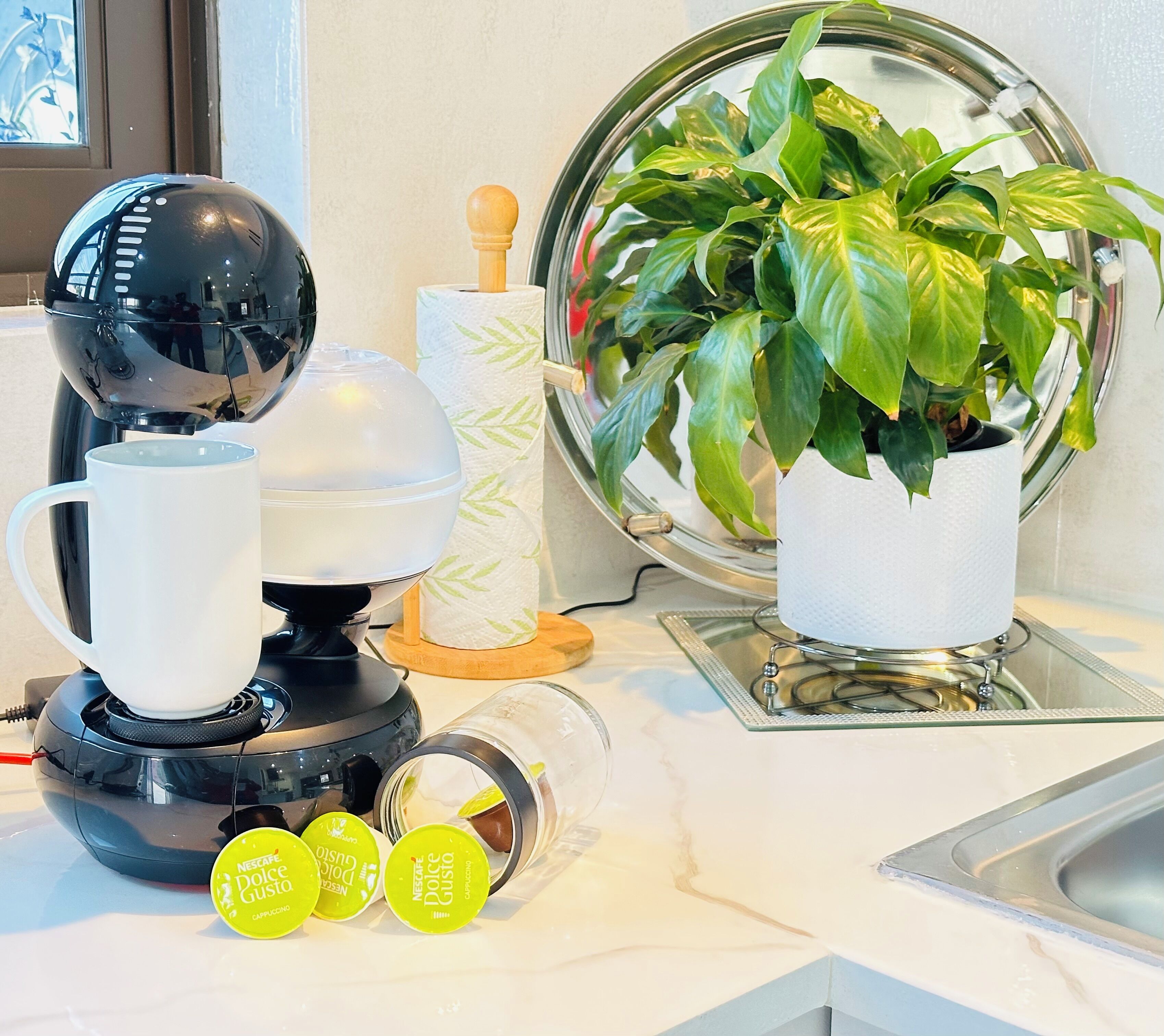 A kitchen with a coffee machine, a potted plant, and a glass bowl on the counter.