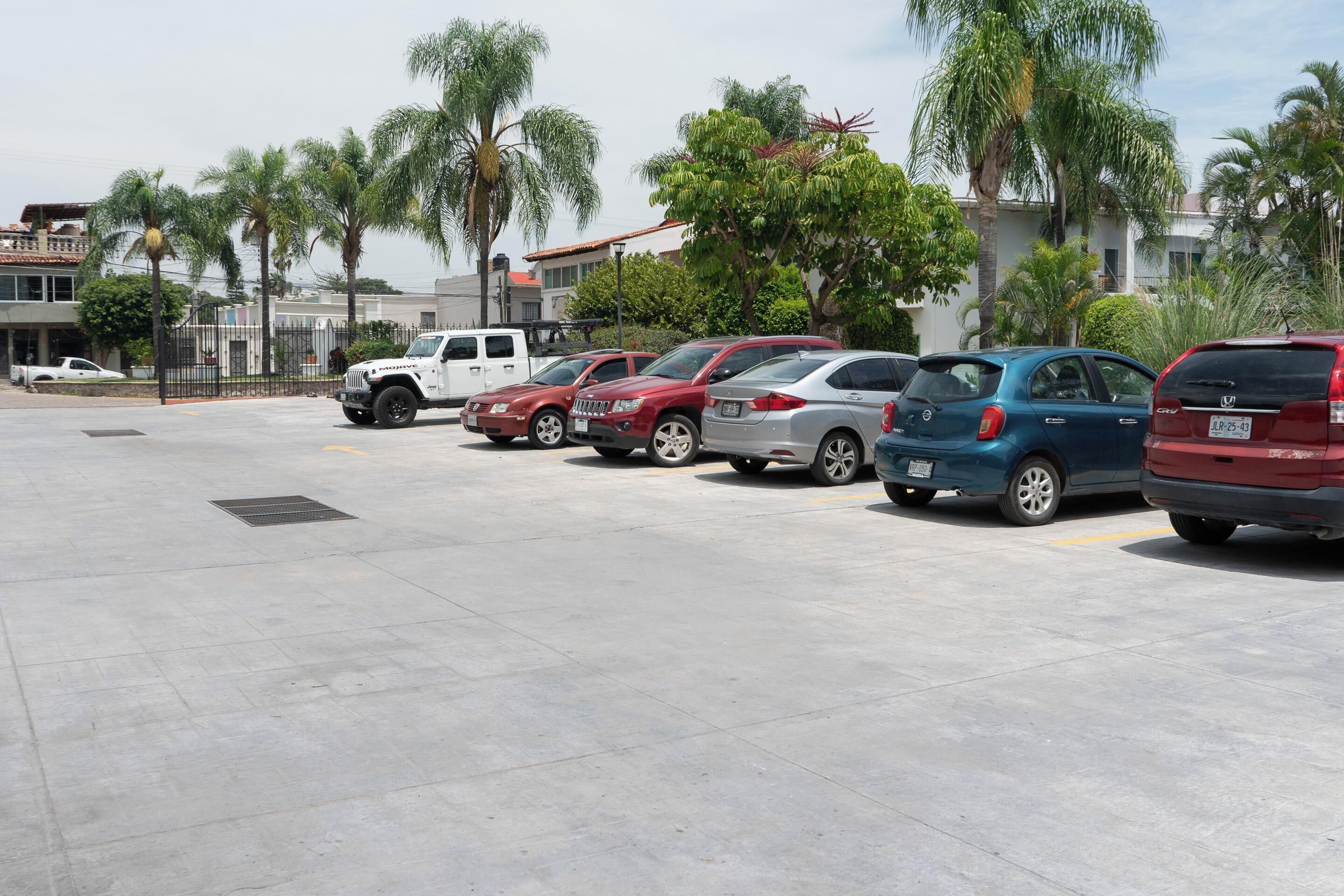 A parking lot with several cars and palm trees.