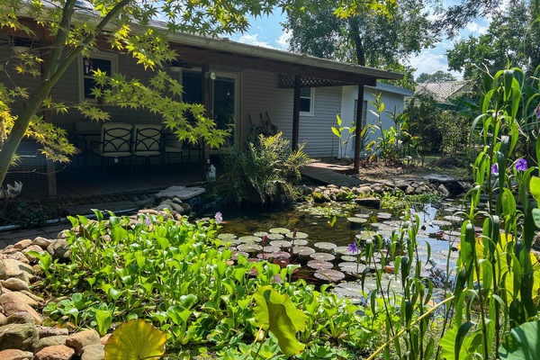 The backyard has a 3000 gallon koi pond with 3 waterfalls.