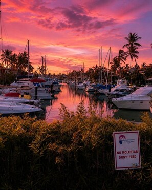 Marina