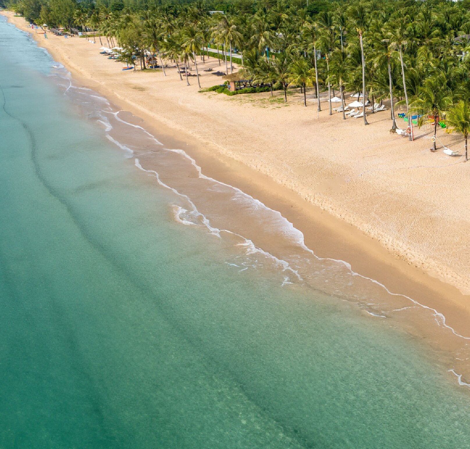 Plage à proximité, sable blanc, chaises longues, bar de plage