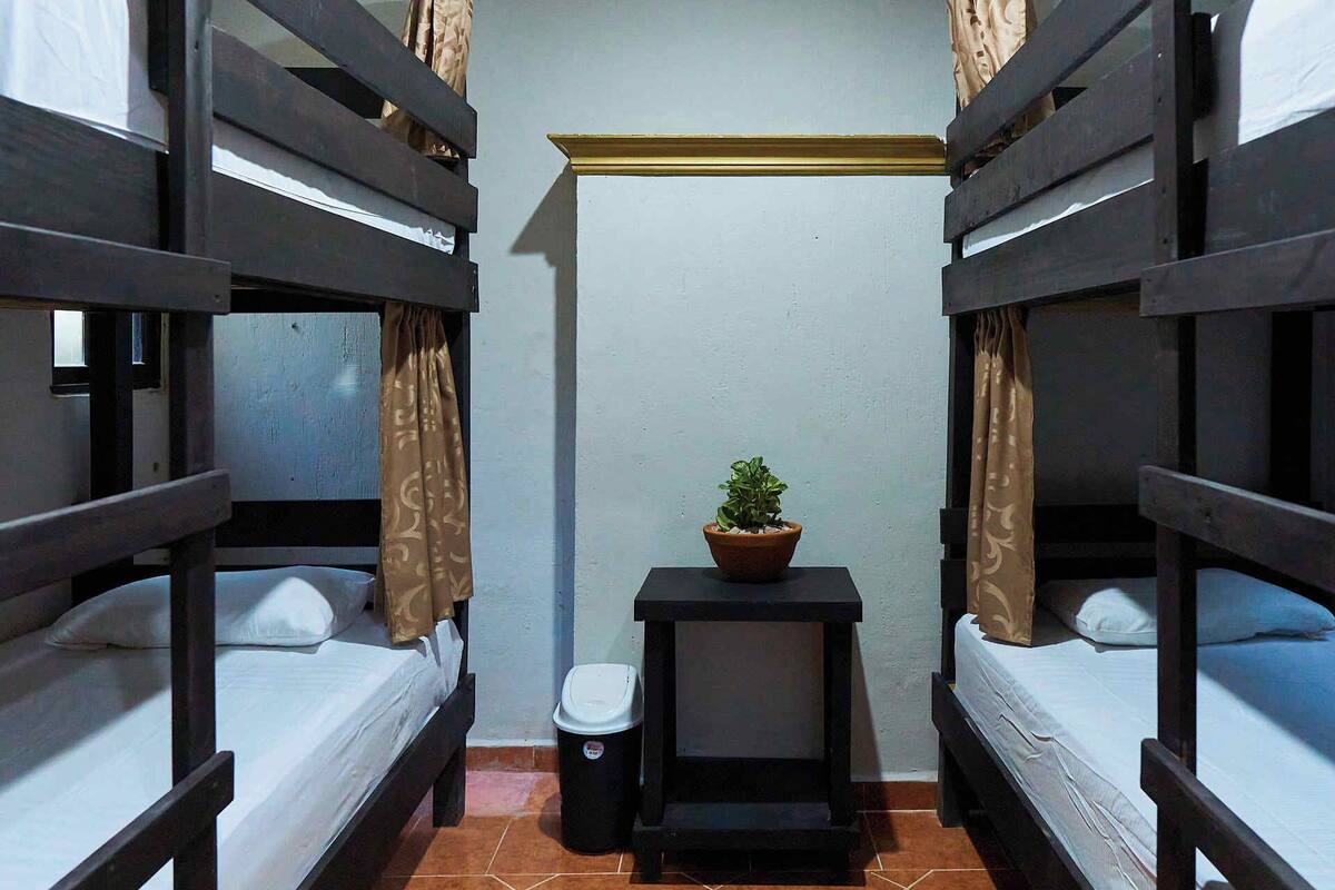 A small, narrow room with two bunk beds, a small table with a potted plant, and a trash bin.