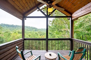 Property grounds - Game Room!  Hot Tub!  Fire Pit!  Big Screen TVs!  Beautiful Cabin!  Wildlife! (Blue Ridge)