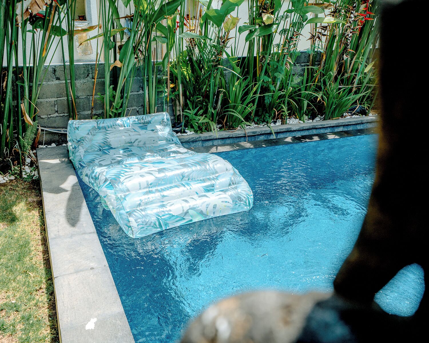 Una piscina con superficie de agua cristalina, bordeada por un resalto de hormigón y una moldura de piedra.