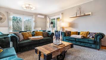 TV, fireplace, video games, DVD player