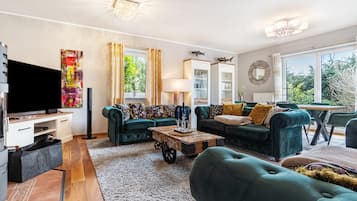 TV, fireplace, video games, DVD player