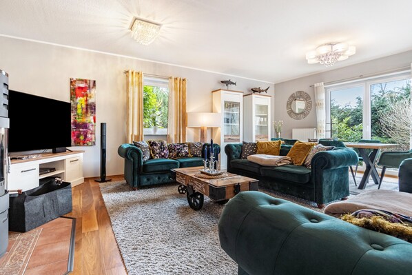 TV, fireplace, video games, DVD player