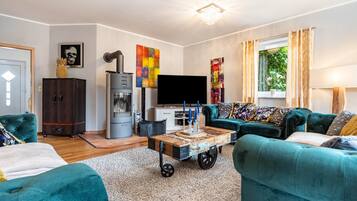 TV, fireplace, video games, DVD player