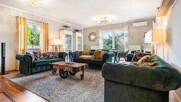 TV, fireplace, video games, DVD player