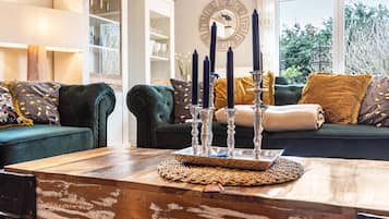 TV, fireplace, video games, DVD player