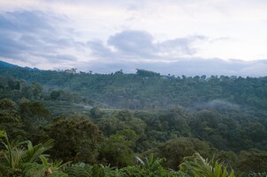 Deluxe Double Room | Mountain view