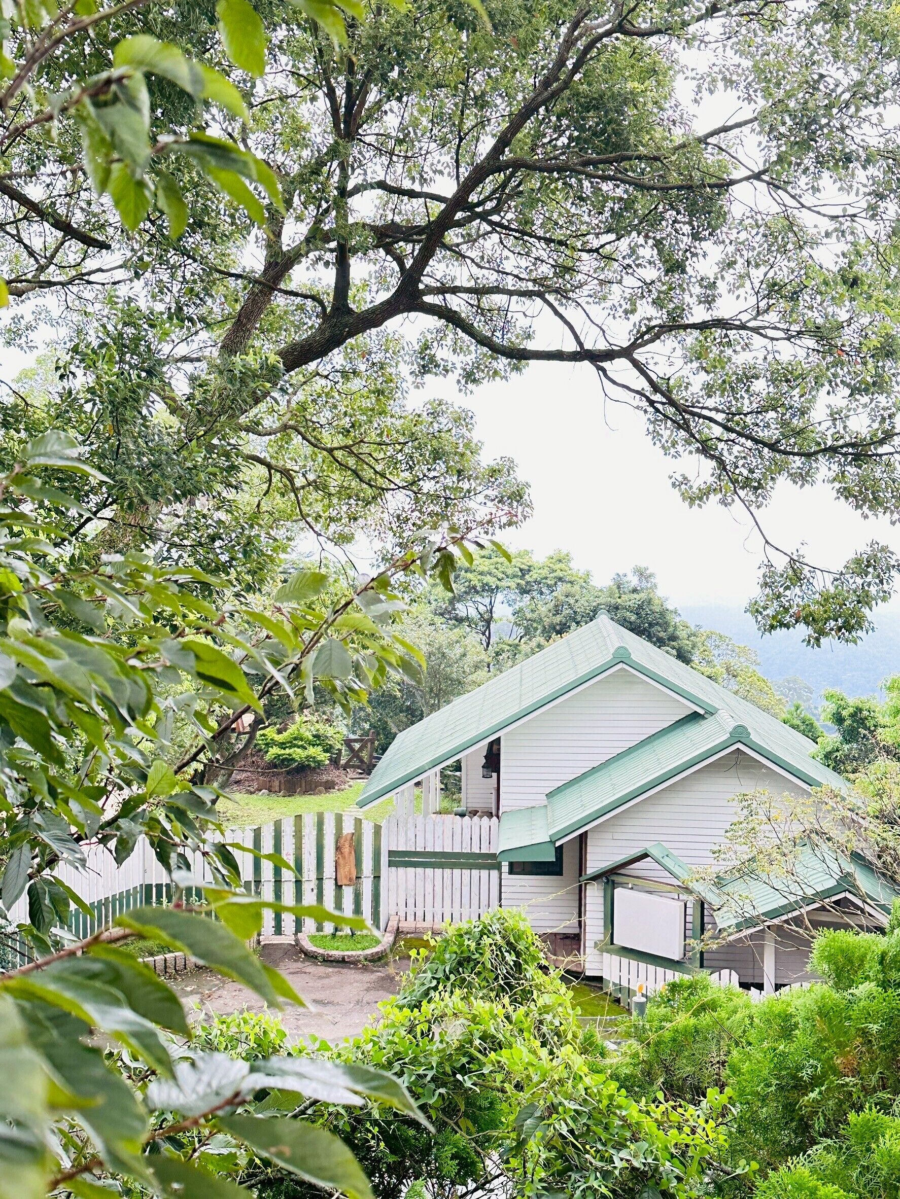 Una casa con techo verde y paredes blancas, rodeada de abundante vegetación y árboles.