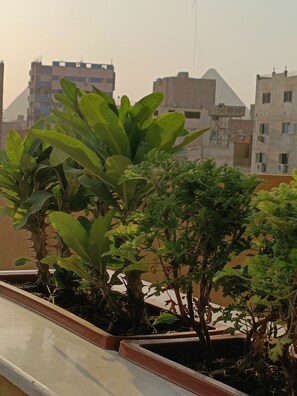 View from property - DISCOVER Pyramids inn  (Giza)