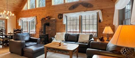 Smart TV, fireplace, books, stereo