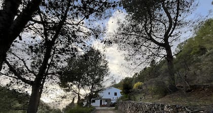 Villa Victoria