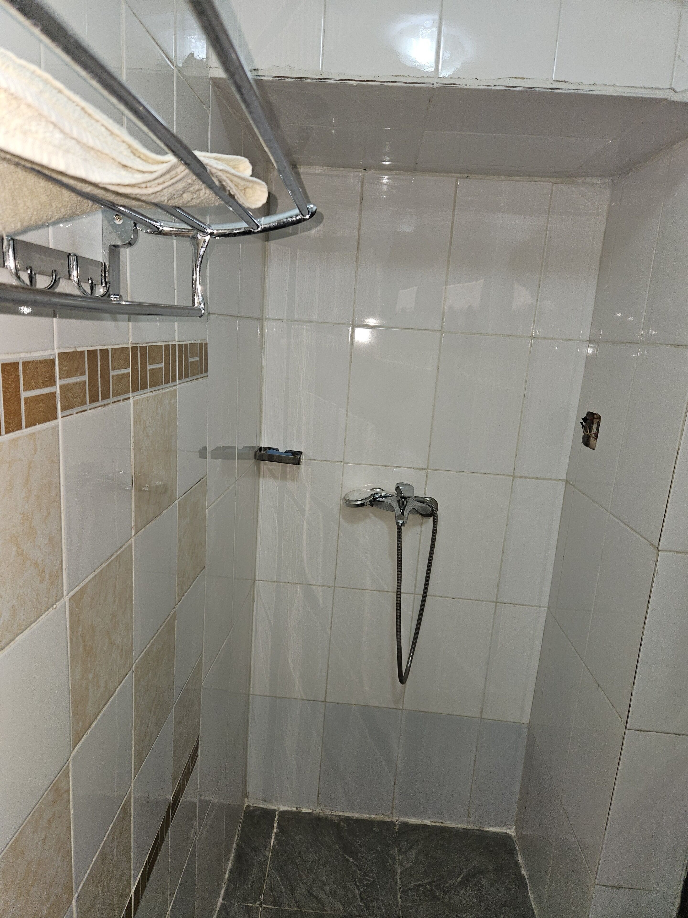 Bidet, towels, soap, shampoo