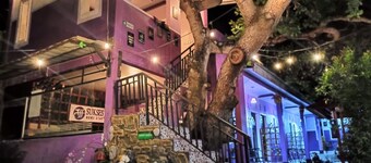 ホームステイ成功タンボラ