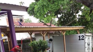A paved area with potted plants and a person cleaning. A truck with the number 12 is parked nearby. - Homestay Sukses Tambora (Pekat)