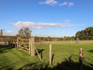 Sports court - The Milking Parlour (Cranbrook)