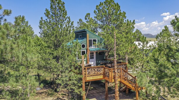 A treehouse with a green roof, wooden deck, and a staircase. - Tree Eagles Nest (Larkspur)