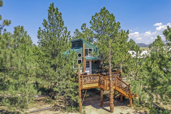 Building design - Tree Eagles Nest (Larkspur)