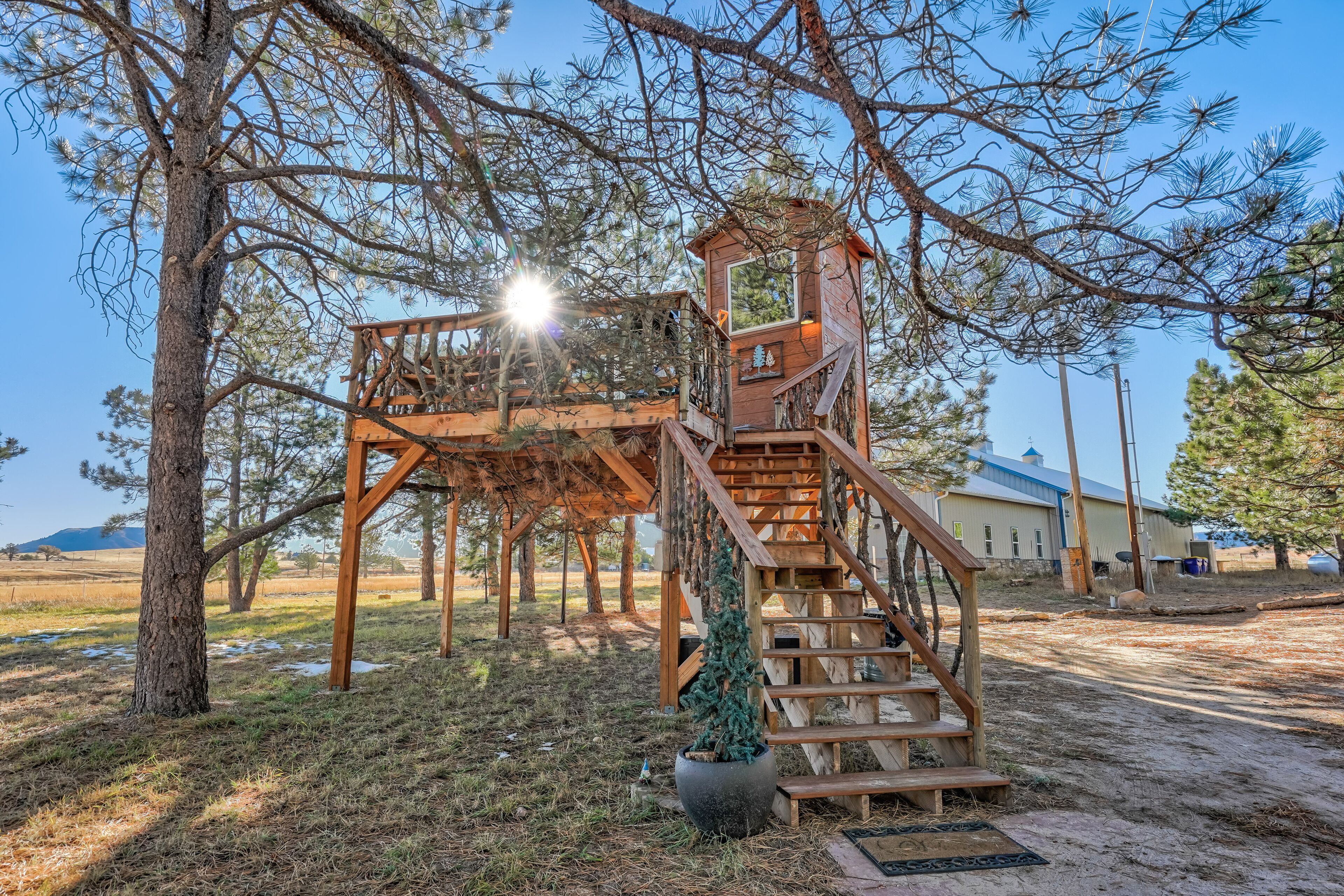 Una casa en el árbol de madera con una escalera, rodeada de pinos y un cielo despejado.