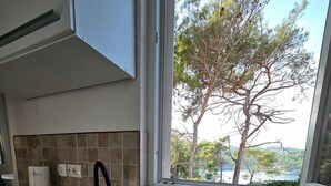 Eine Küche mit Spüle aus Edelstahl, einem Fenster mit Blick auf Bäume und Wasser sowie einer gefliesten Spritzschutzwand.