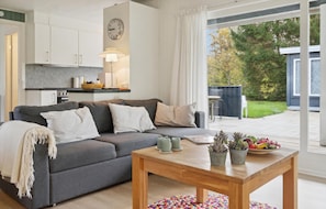 Smart-TV, Kamin