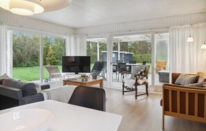 Smart-TV, Kamin