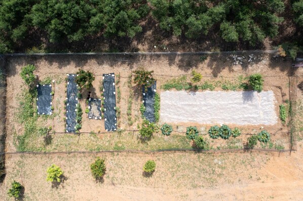 Exterior - Modone Villas in Peloponnese (Pylos-Nestoras)