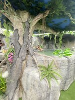 Bañera de hidromasaje 