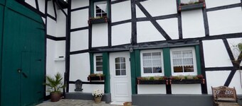 Relaxen am Rosenbusch