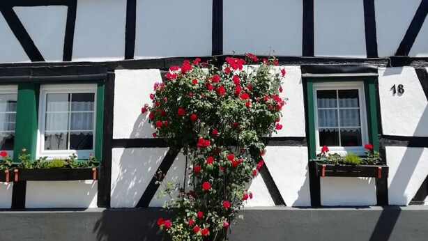 Un edificio de fachada blanco y negro, con el número 18, que presenta una planta roja con grandes flores en el centro.